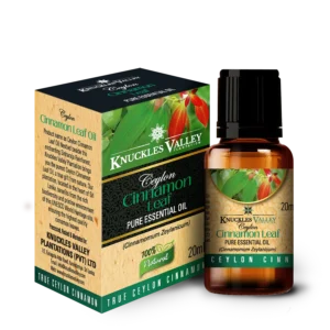 Pure Ceylon Cinnamon Leaf Essential Oil