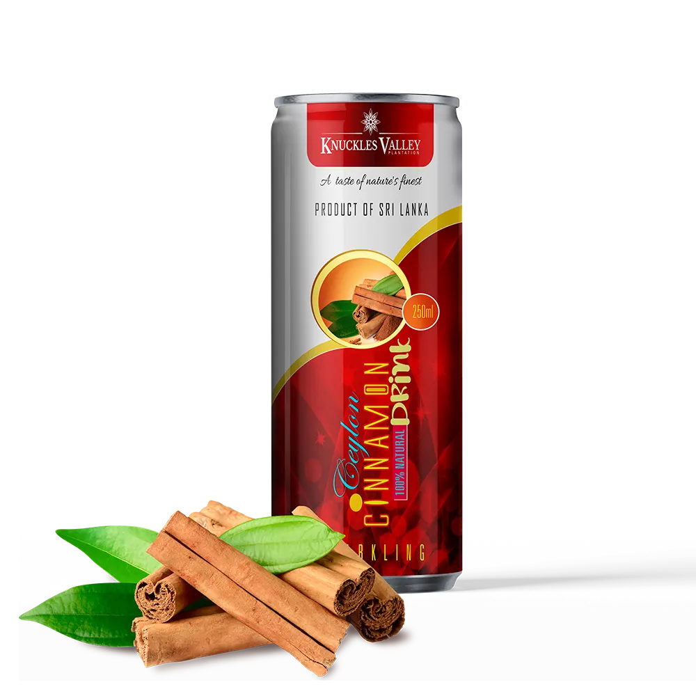 Cinnamon sparkling drink